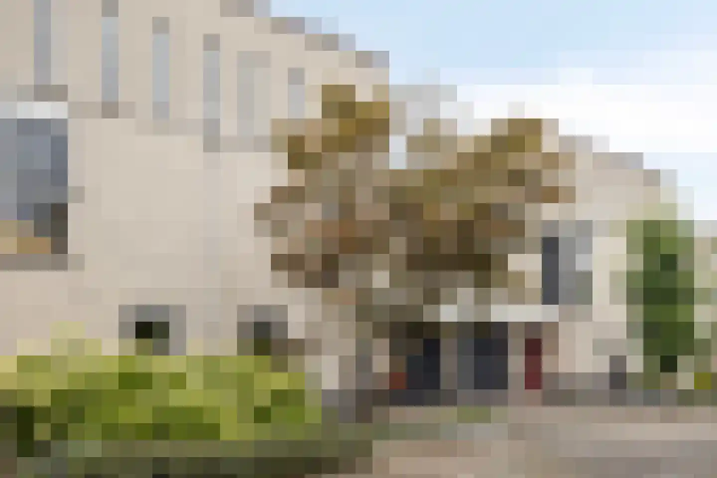 Winterjan 23 Elst thumbnail 6