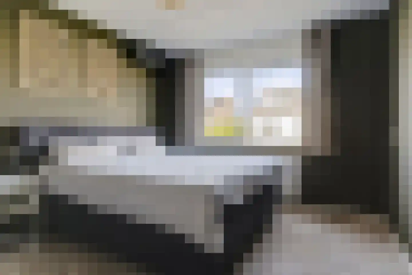 Winterjan 25 Elst thumbnail 14