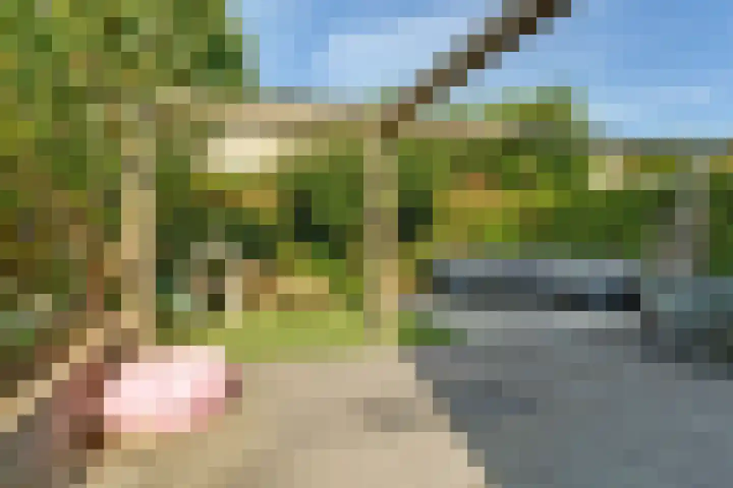 Winterjan 25 Elst thumbnail 25