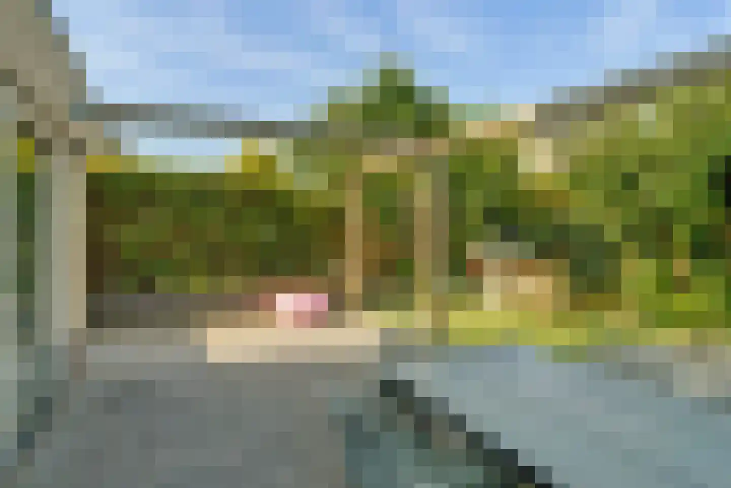 Winterjan 25 Elst thumbnail 29