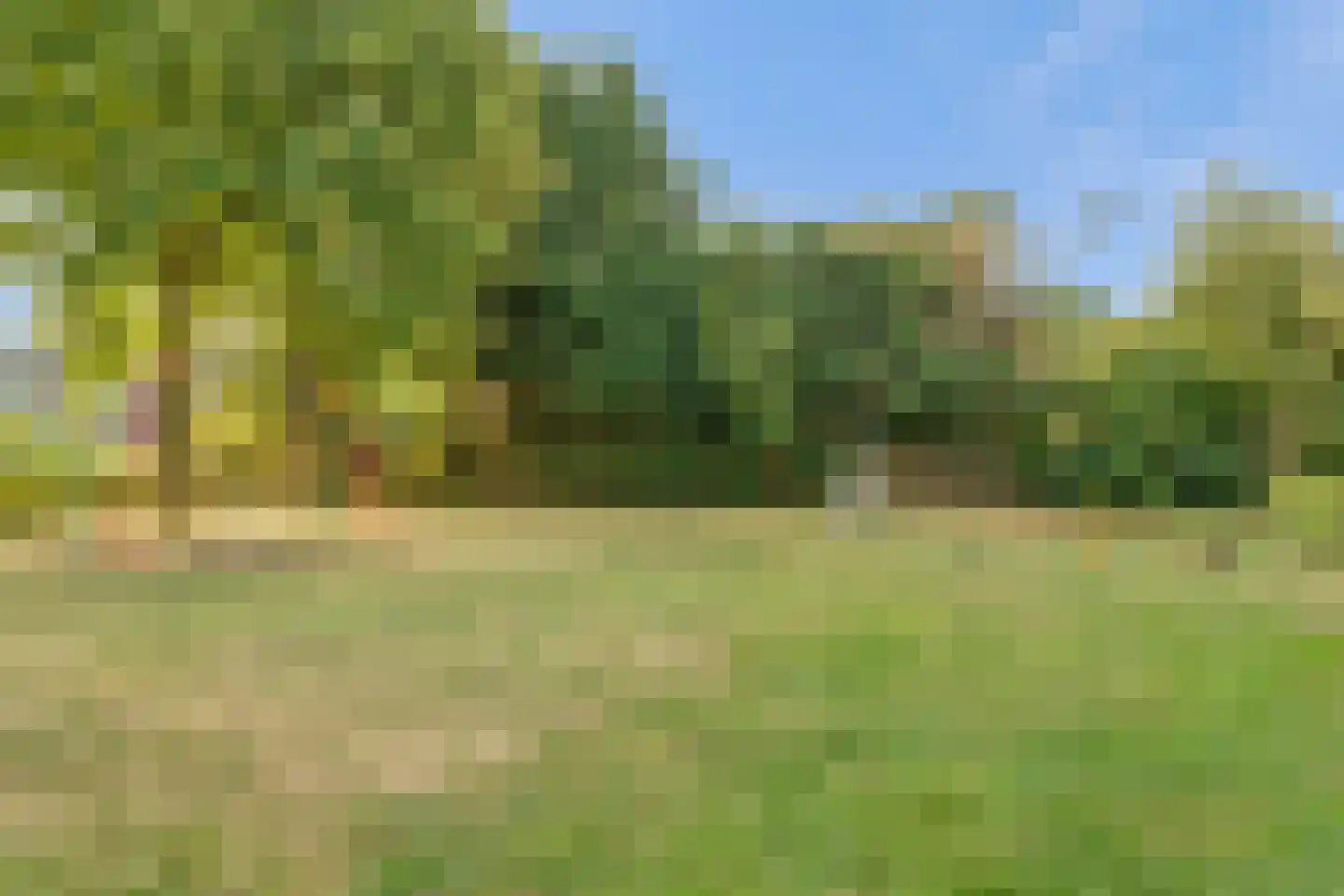 Winterjan 25 Elst thumbnail 33