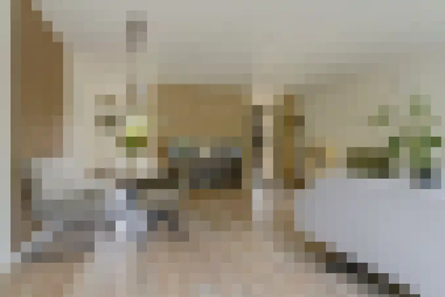 Winterjan 25 Elst thumbnail 9