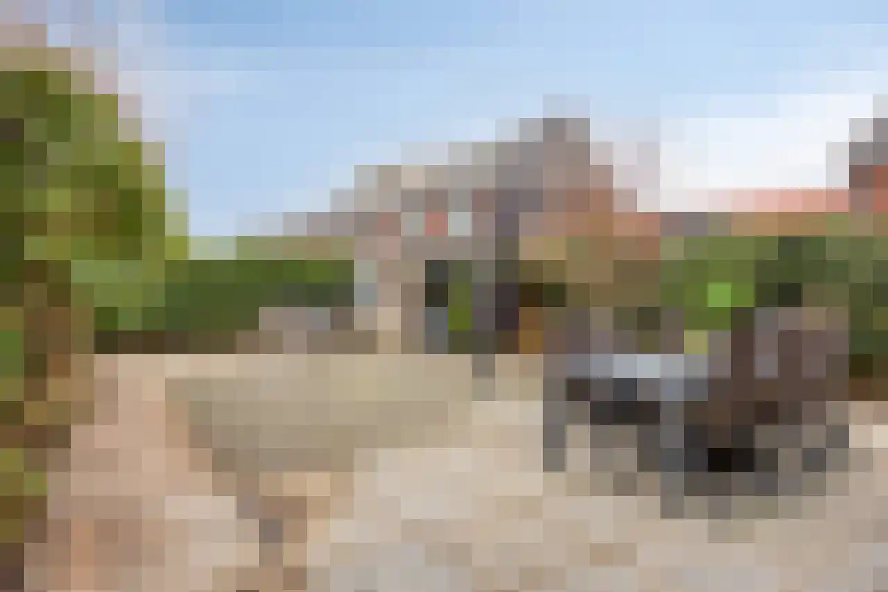 Winterjan 4 Arnhem thumbnail 23