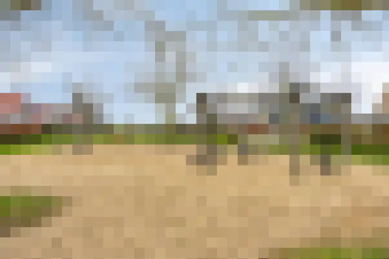 Winterjan 4 Arnhem thumbnail 27