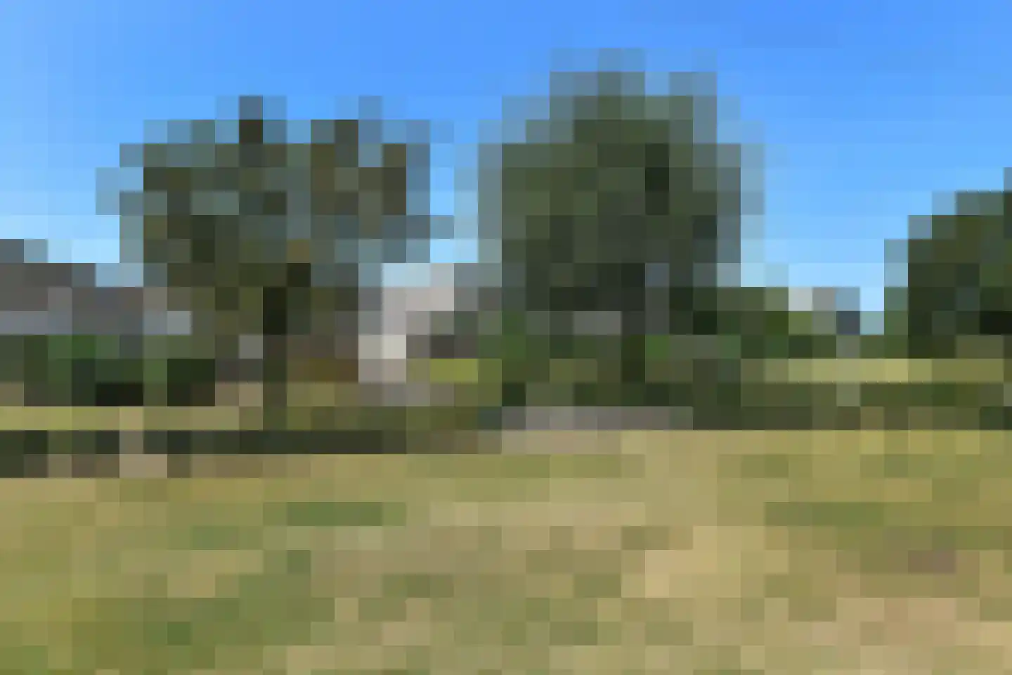 Winterjan 58 Elst thumbnail 5