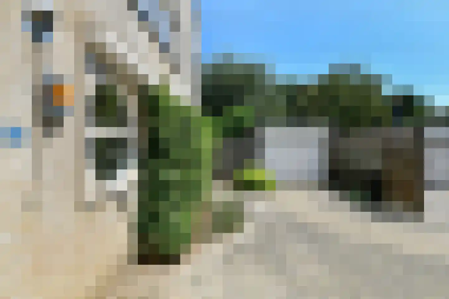 Winterjan 58 Elst thumbnail 7
