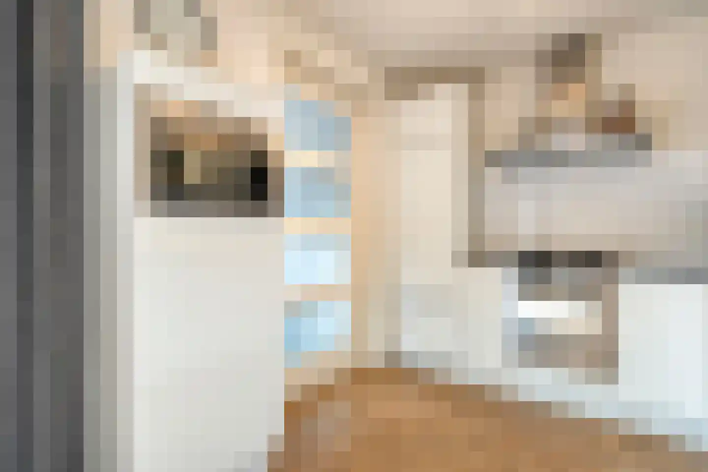 Winterjan 7 Ruinerwold thumbnail 13