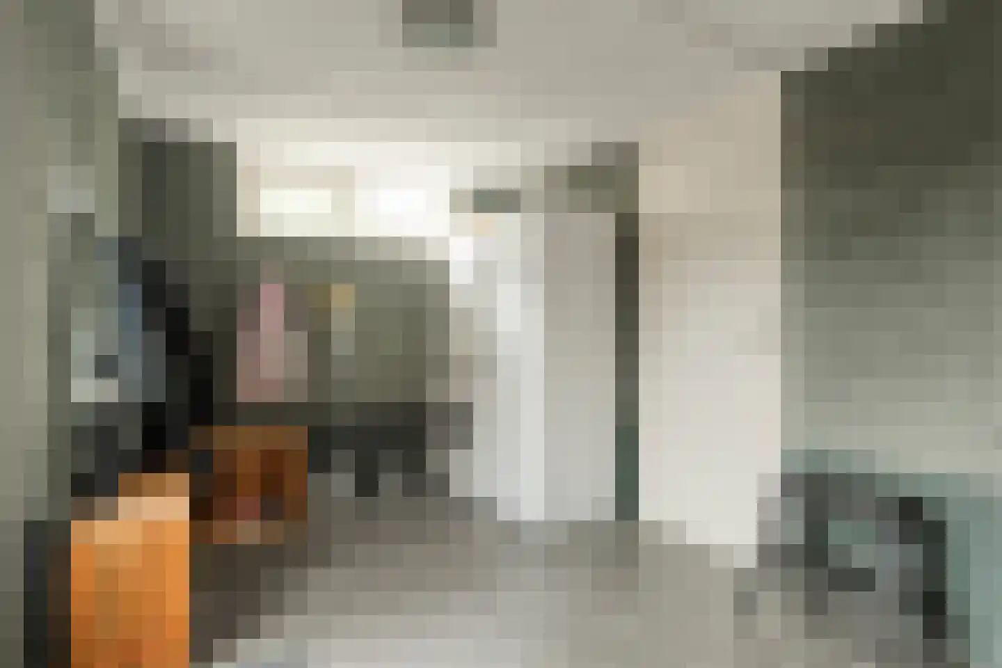 Winterjan 7 Ruinerwold thumbnail 15