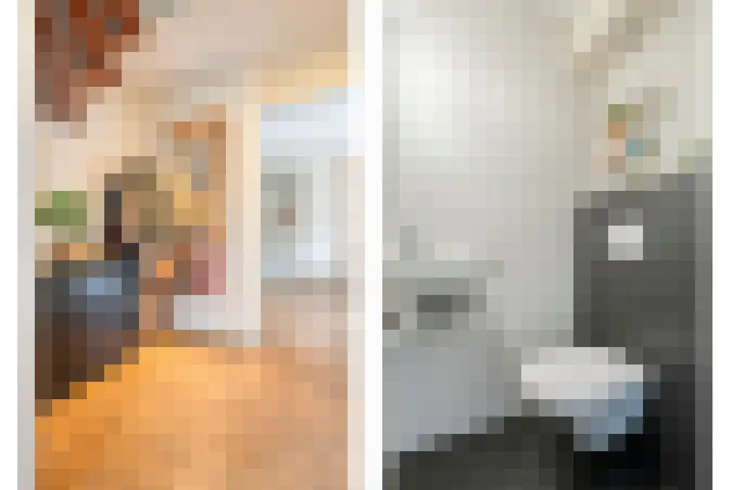 Winterjan 7 Ruinerwold thumbnail 17