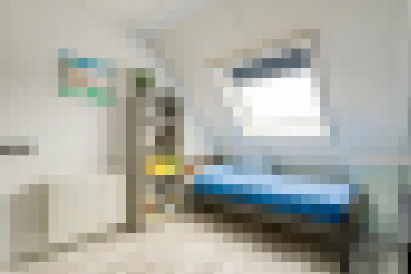Winterjan 7 Ruinerwold thumbnail 21