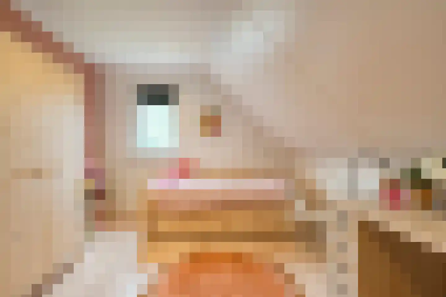 Winterjan 7 Ruinerwold thumbnail 23
