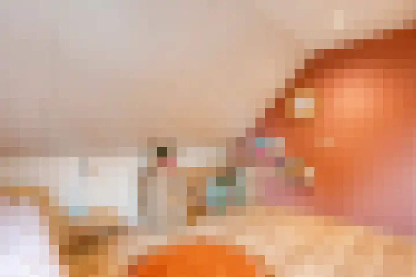 Winterjan 7 Ruinerwold thumbnail 24