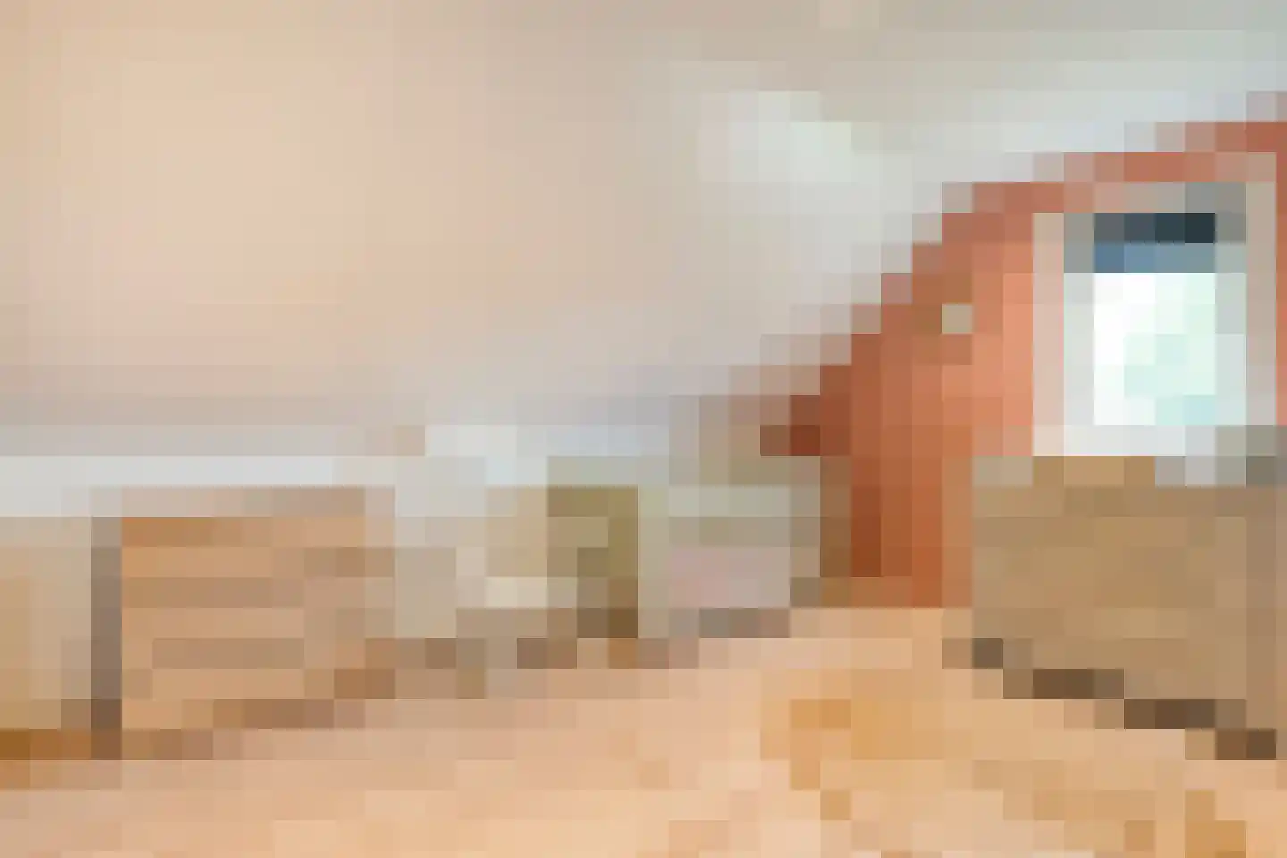 Winterjan 7 Ruinerwold thumbnail 25