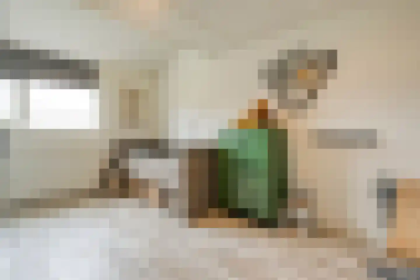 Winterjan 7 Ruinerwold thumbnail 27