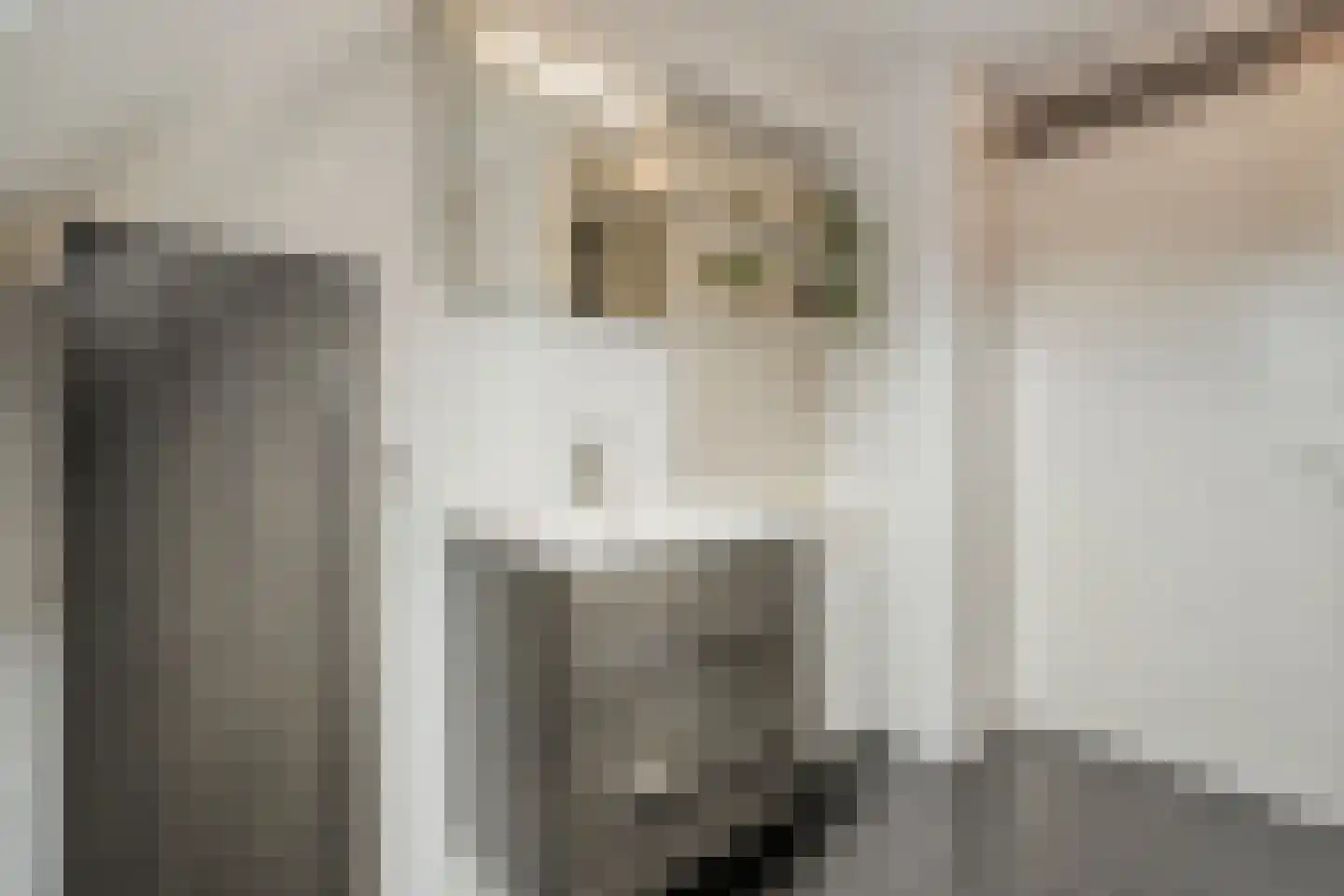 Winterjan 7 Ruinerwold thumbnail 29