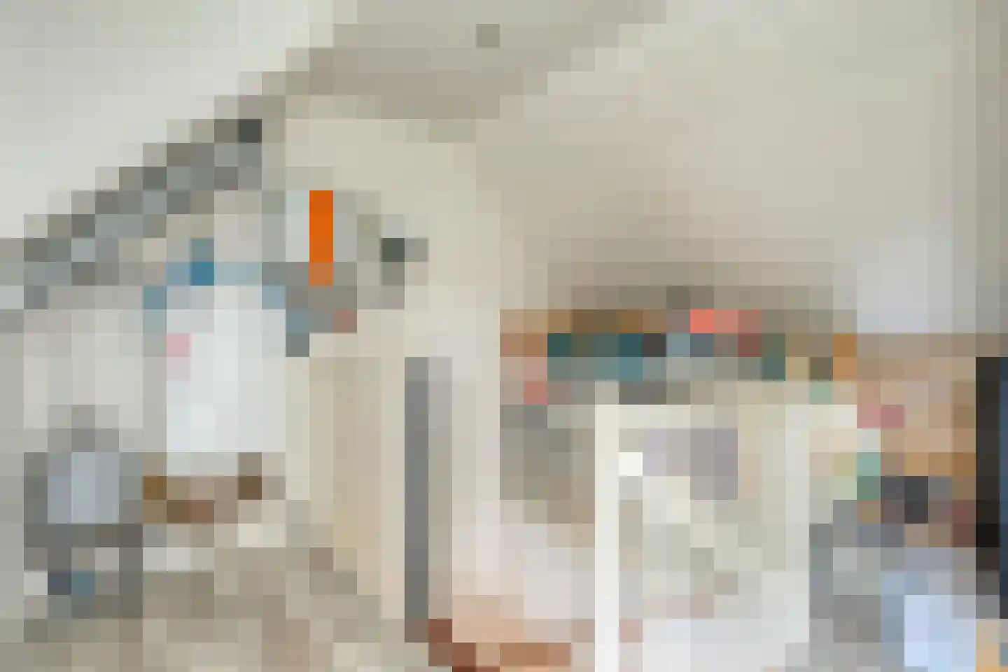 Winterjan 7 Ruinerwold thumbnail 32