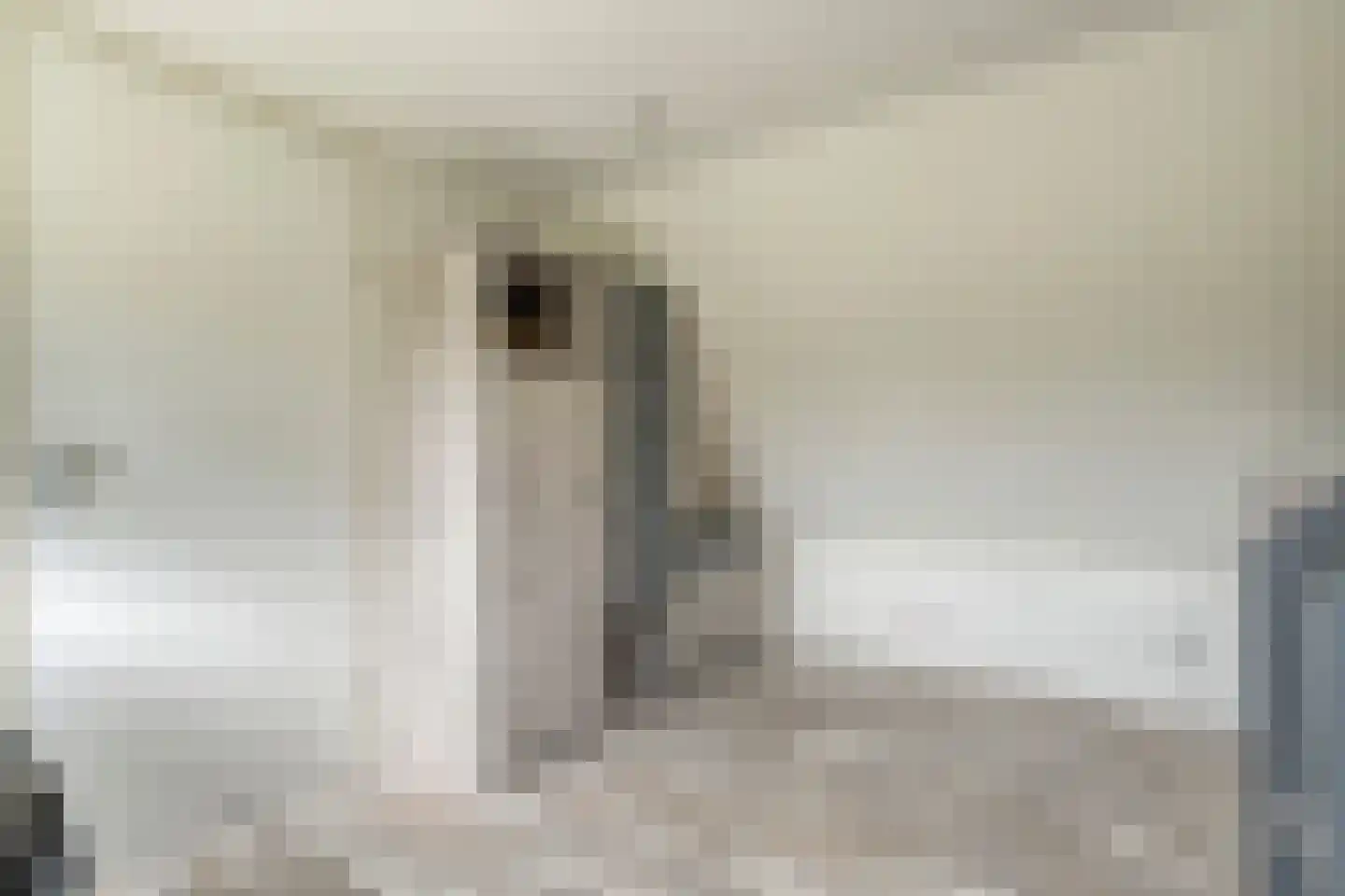 Winterjan 7 Ruinerwold thumbnail 34