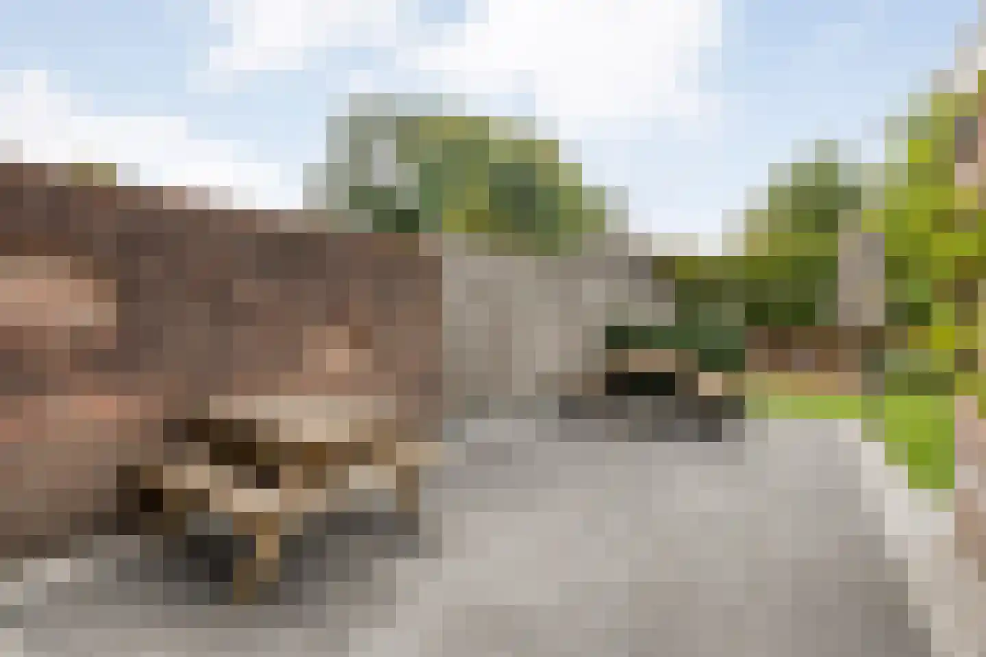 Winterjan 7 Ruinerwold thumbnail 37