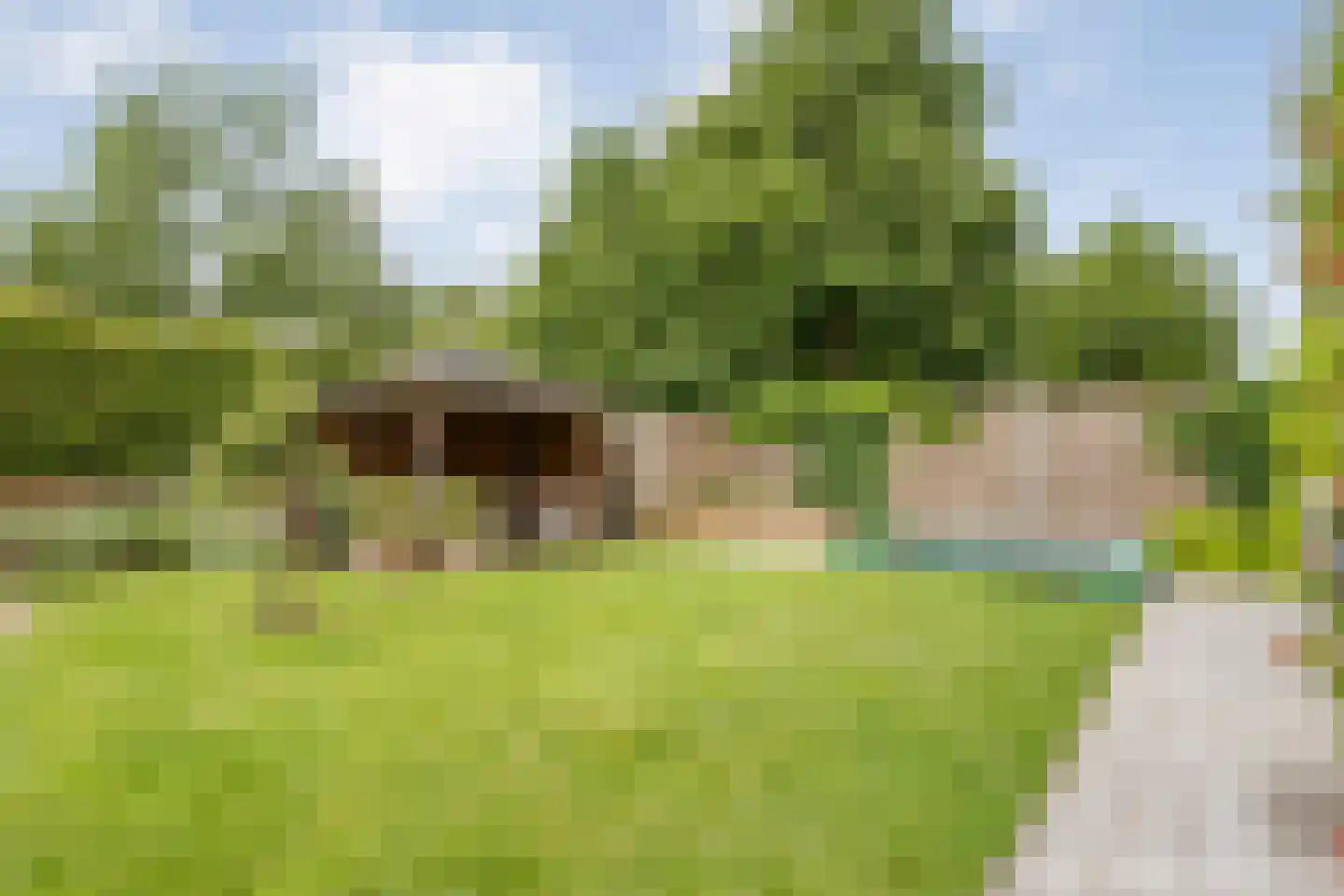 Winterjan 7 Ruinerwold thumbnail 39