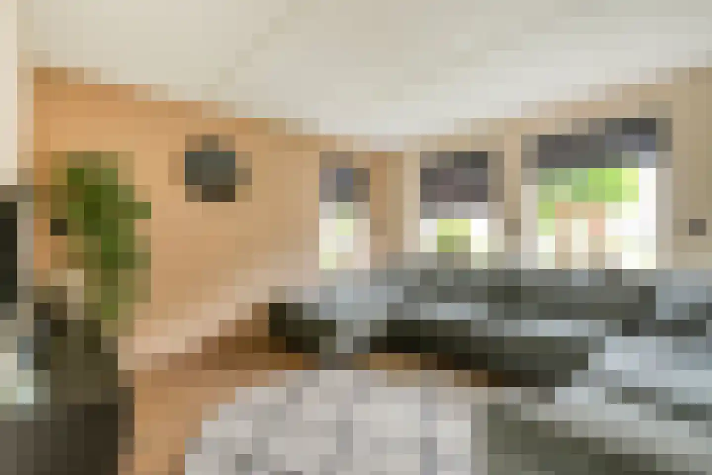 Winterjan 7 Ruinerwold thumbnail 4