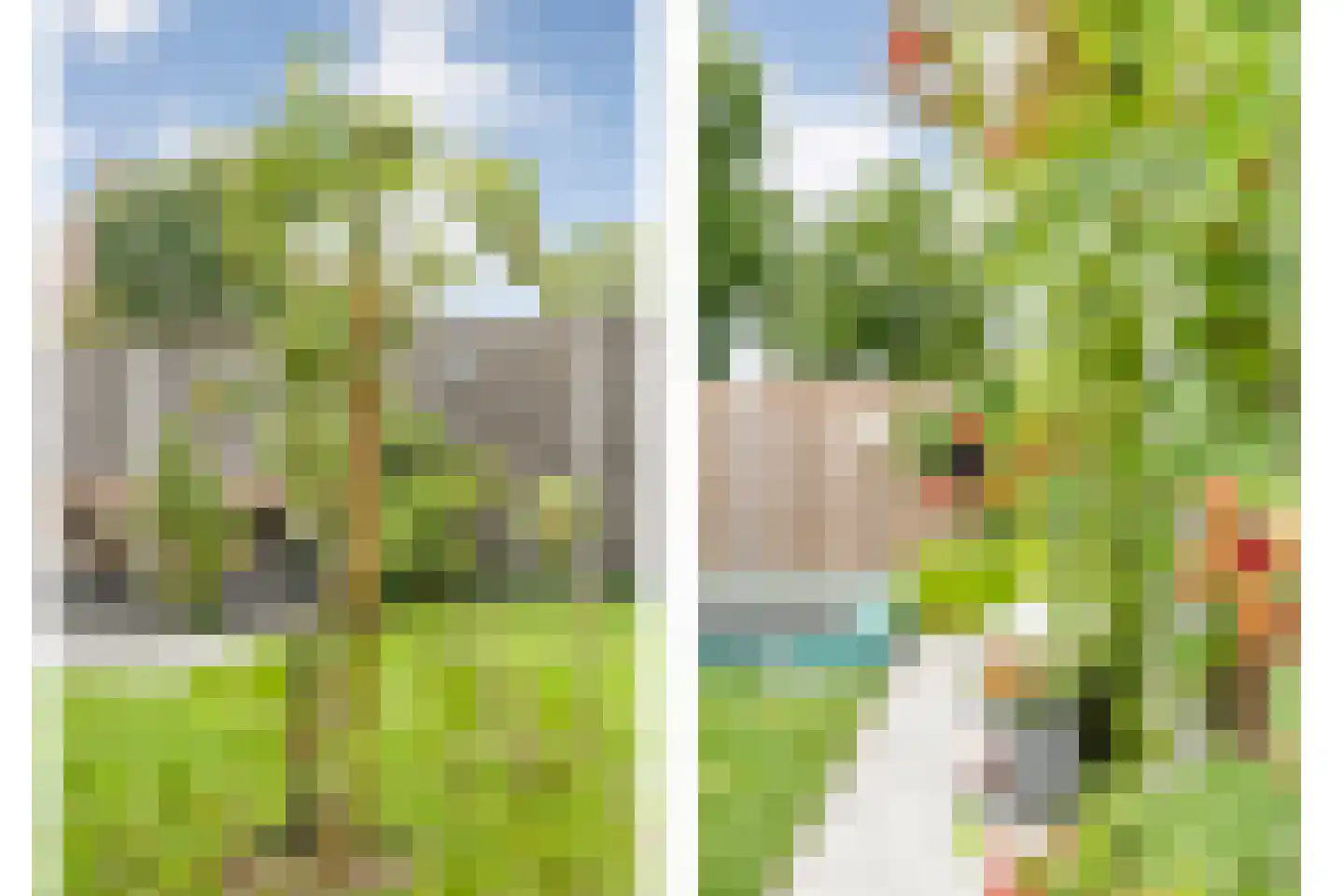 Winterjan 7 Ruinerwold thumbnail 40