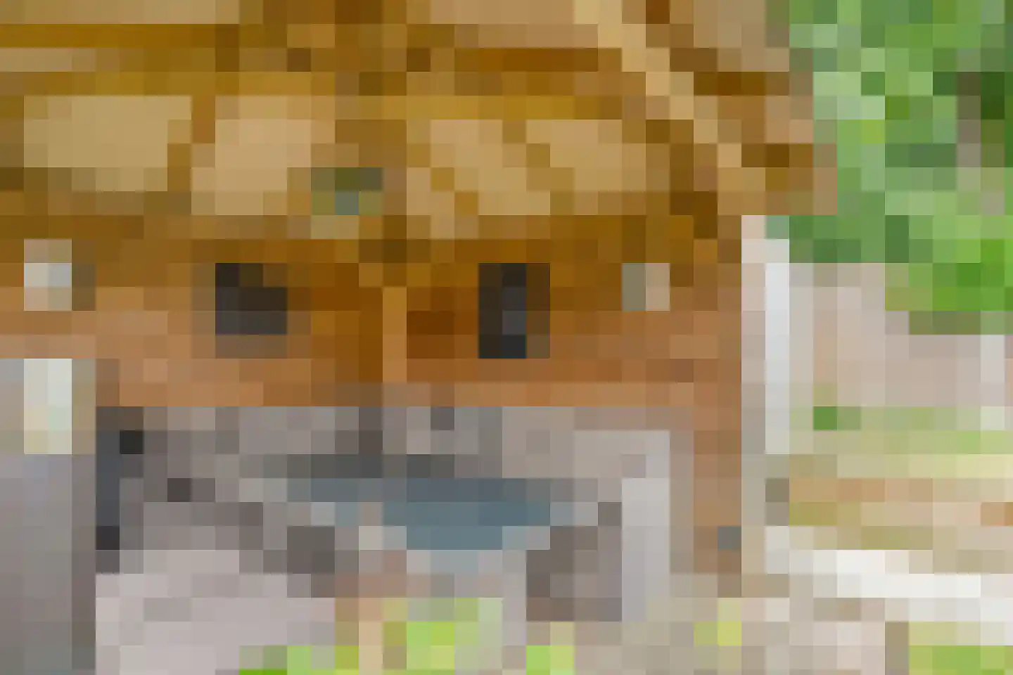 Winterjan 7 Ruinerwold thumbnail 43