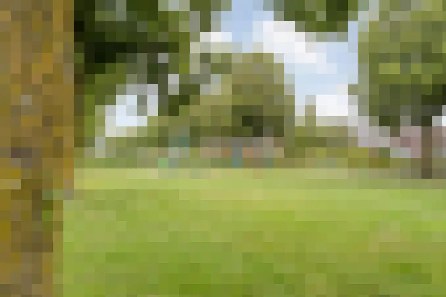 Winterjan 7 Ruinerwold thumbnail 50