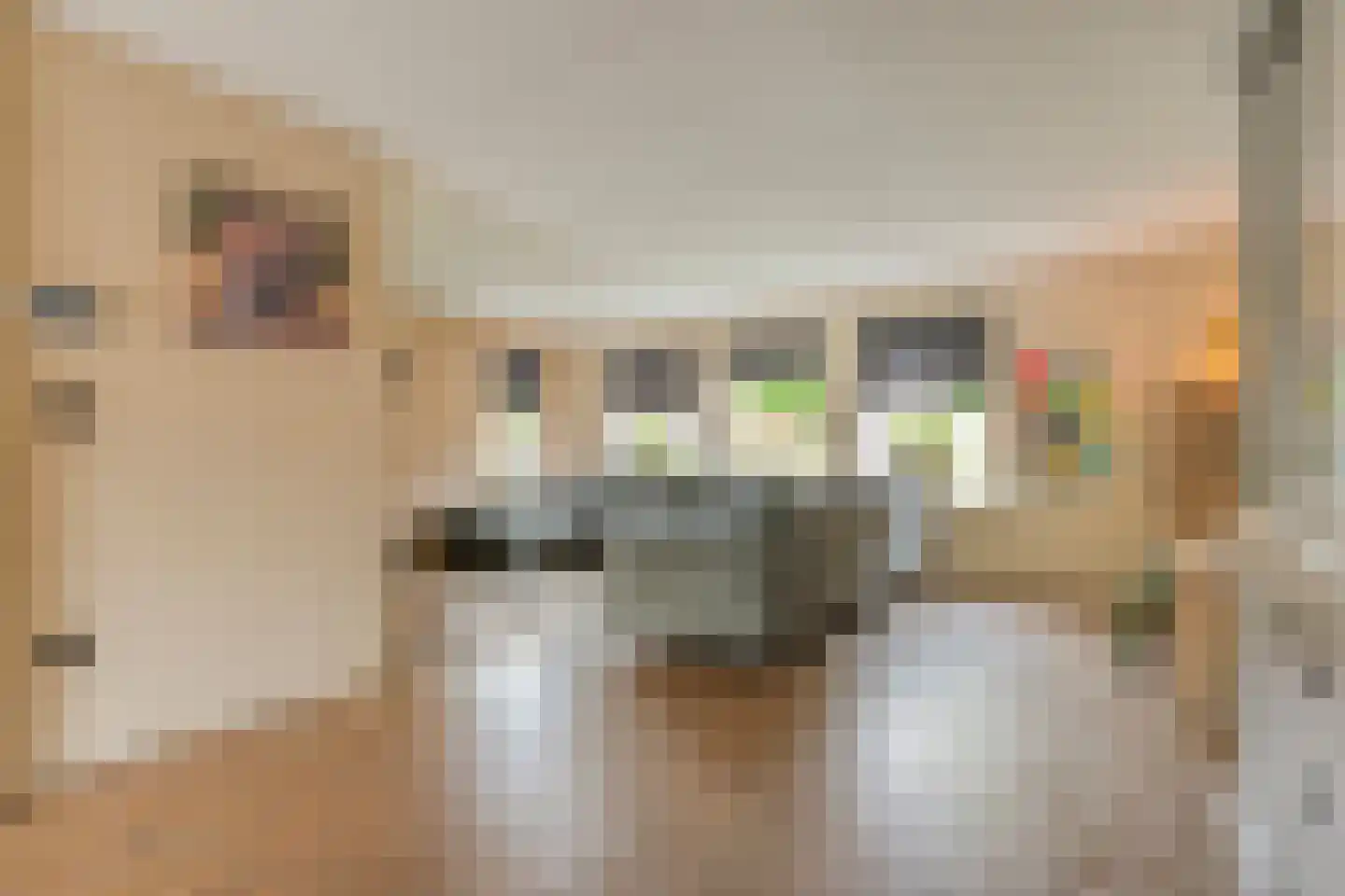 Winterjan 7 Ruinerwold thumbnail 6
