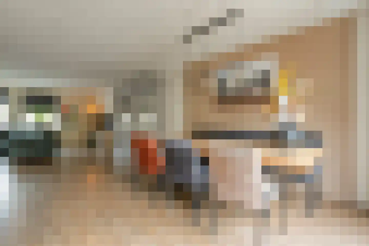 Winterjan 7 Ruinerwold thumbnail 7