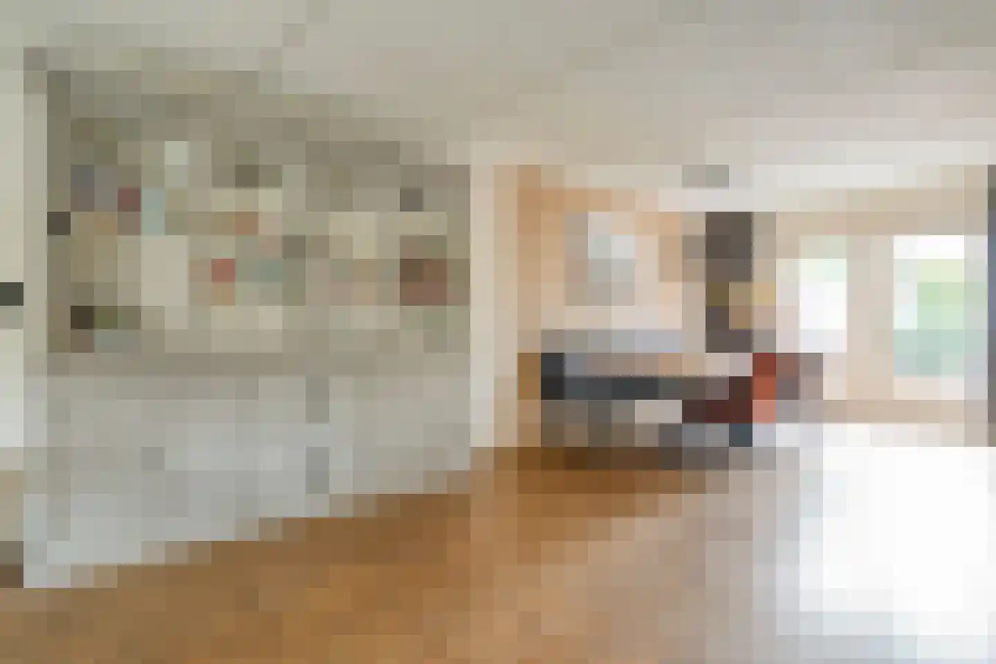 Winterjan 7 Ruinerwold thumbnail 8