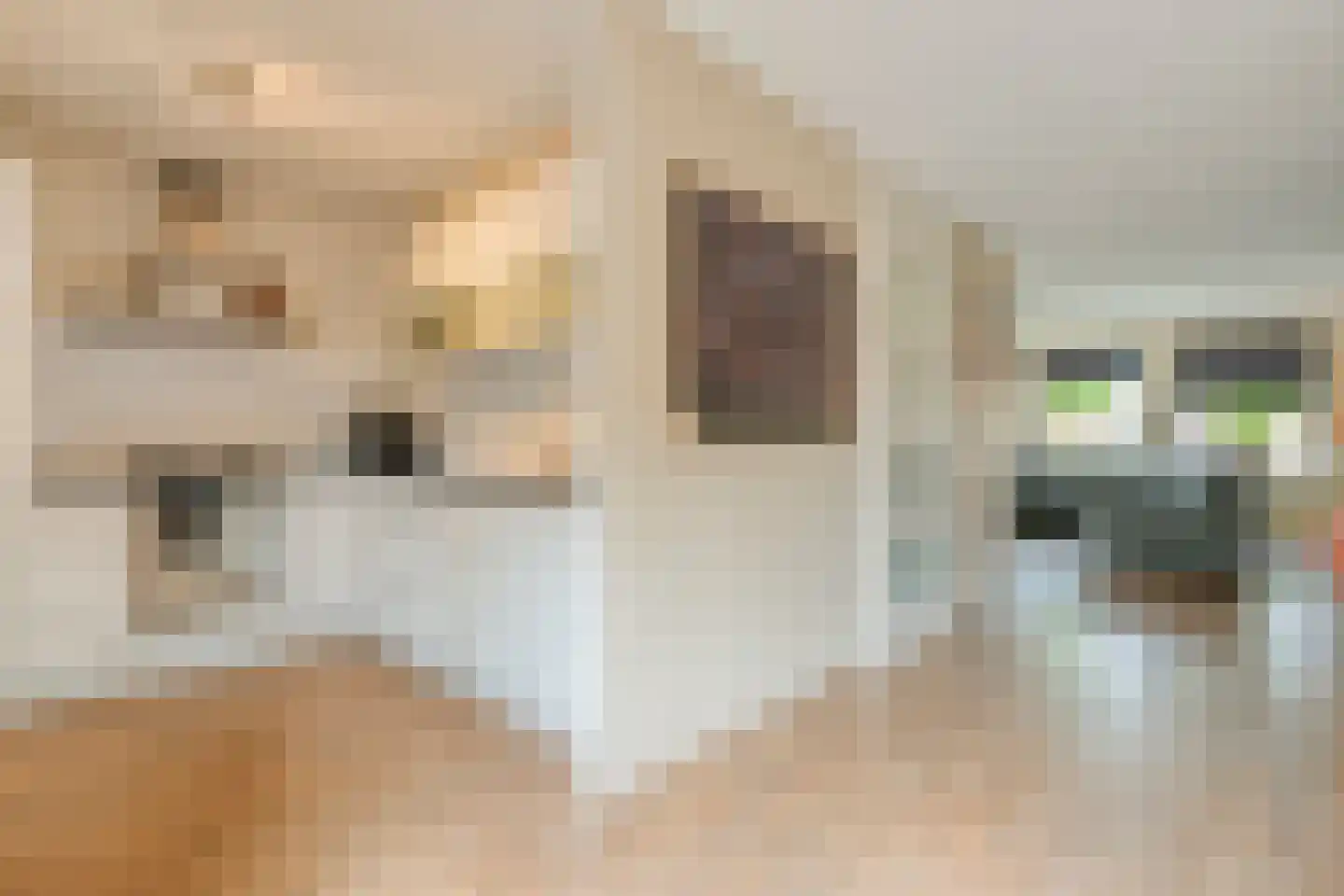 Winterjan 7 Ruinerwold thumbnail 9