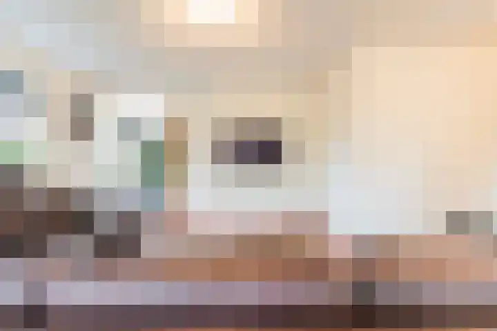 Winterjan 9 Arnhem thumbnail 7