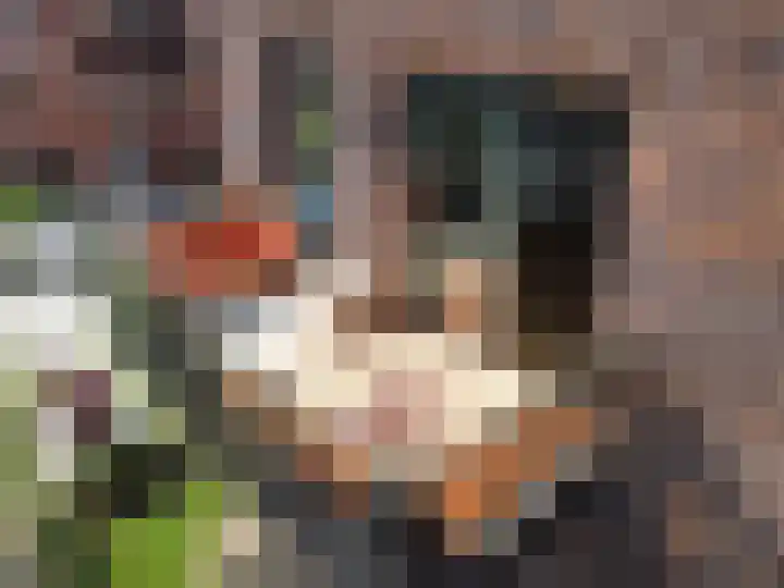 Winterjanpad 110 Amsterdam thumbnail 17