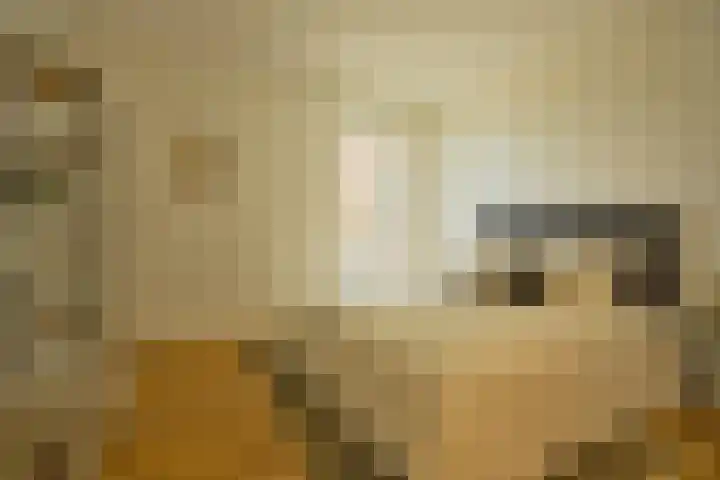 Winterjanpad 134 Amsterdam thumbnail 10