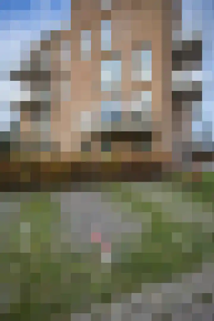 Winterjanpad 134 Amsterdam thumbnail 19