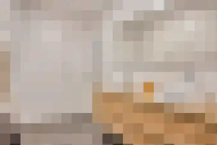 Winterjanpad 138 Amsterdam thumbnail 13