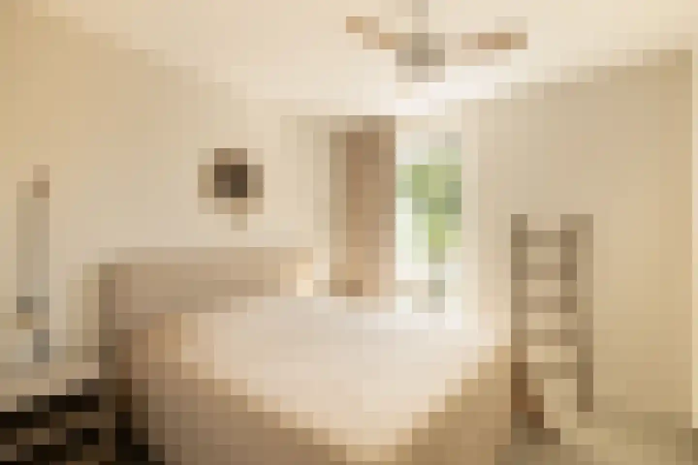 Winterjanpad 142 Amsterdam thumbnail 21