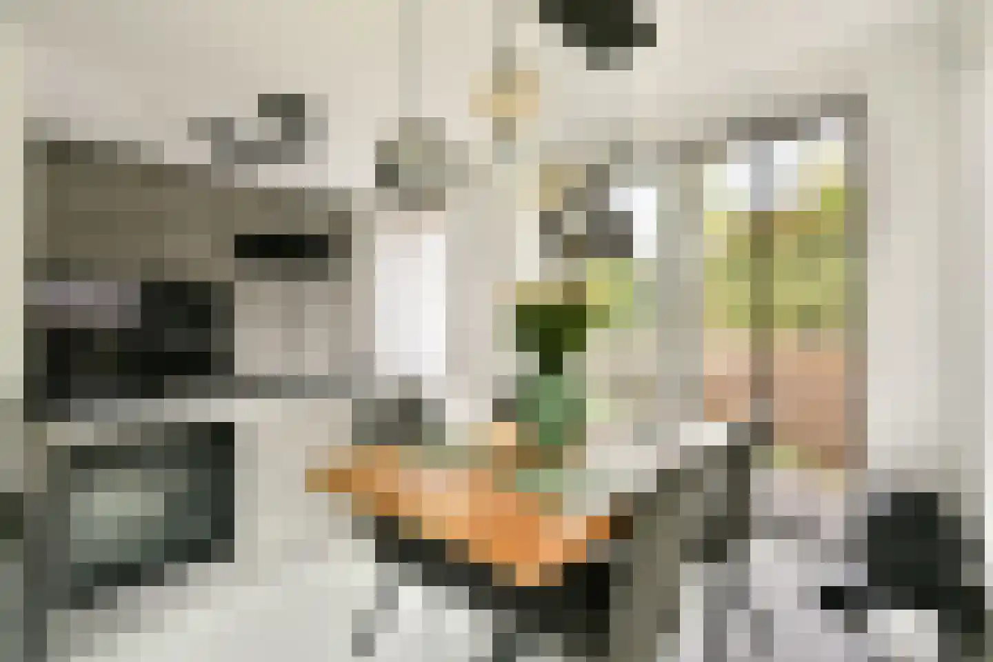 Winterjanpad 2 Amsterdam thumbnail 12