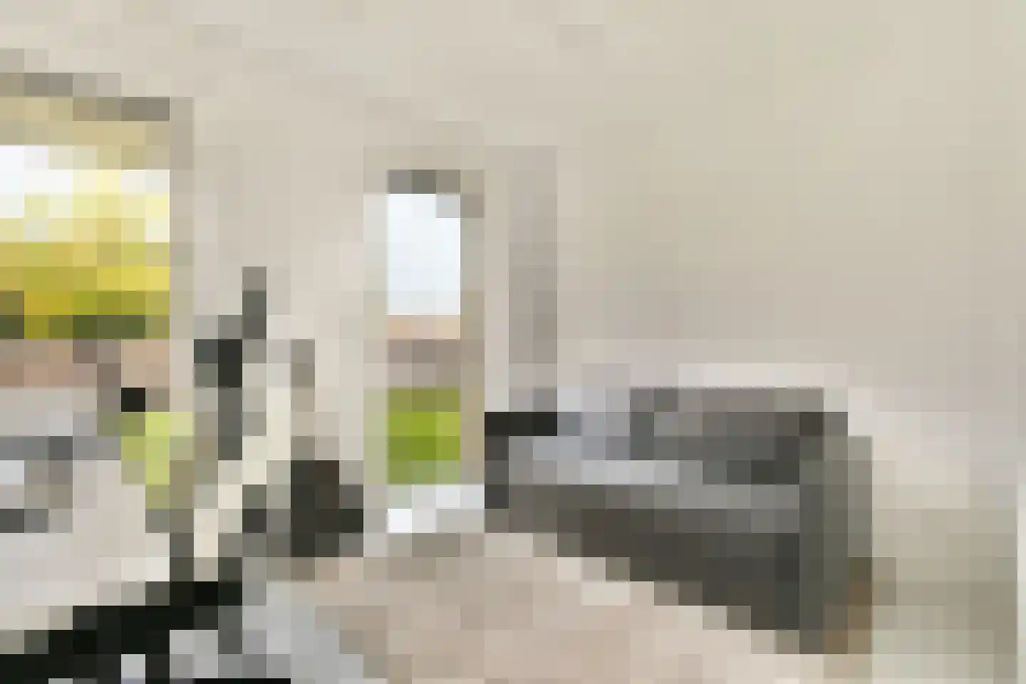 Winterjanpad 2 Amsterdam thumbnail 17