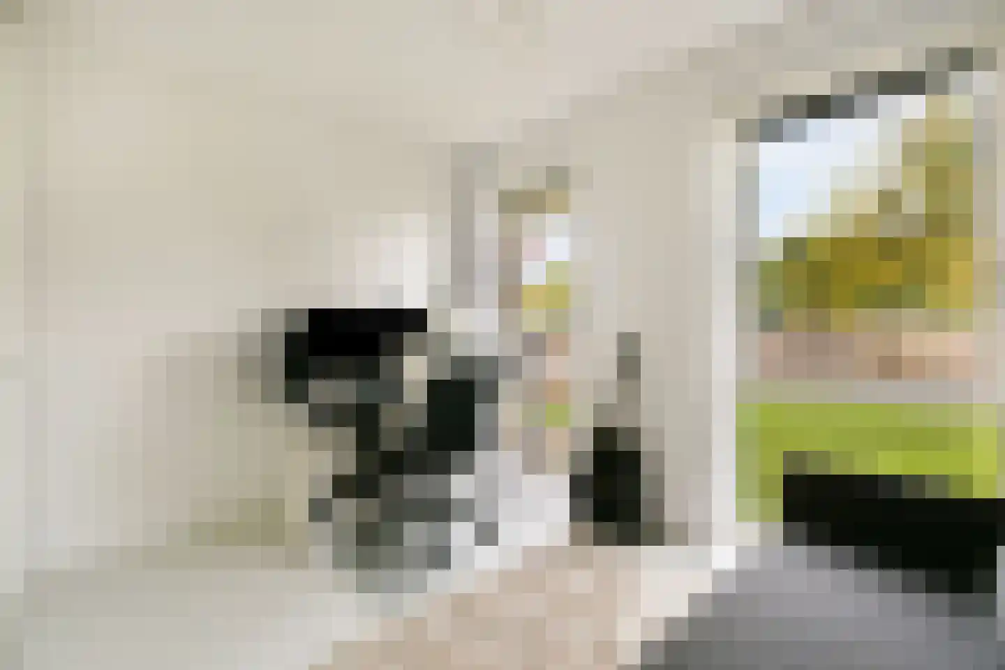 Winterjanpad 2 Amsterdam thumbnail 18