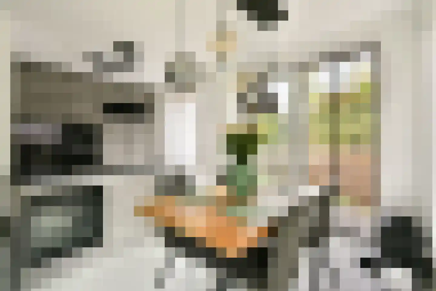 Winterjanpad 2 Amsterdam thumbnail 4