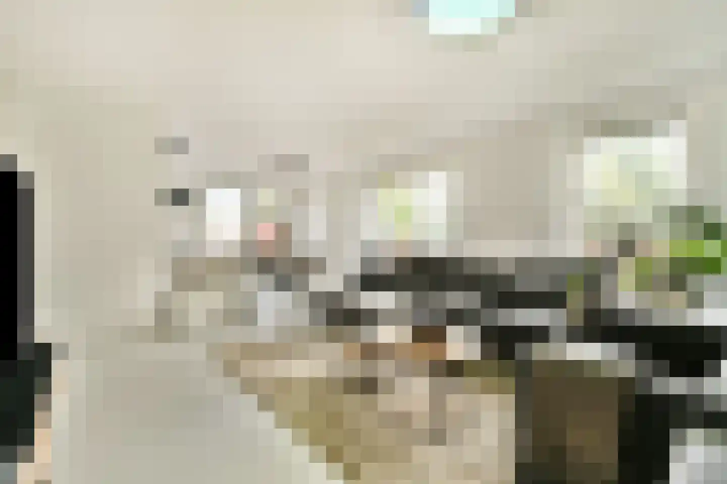 Winterjanpad 2 Amsterdam thumbnail 8