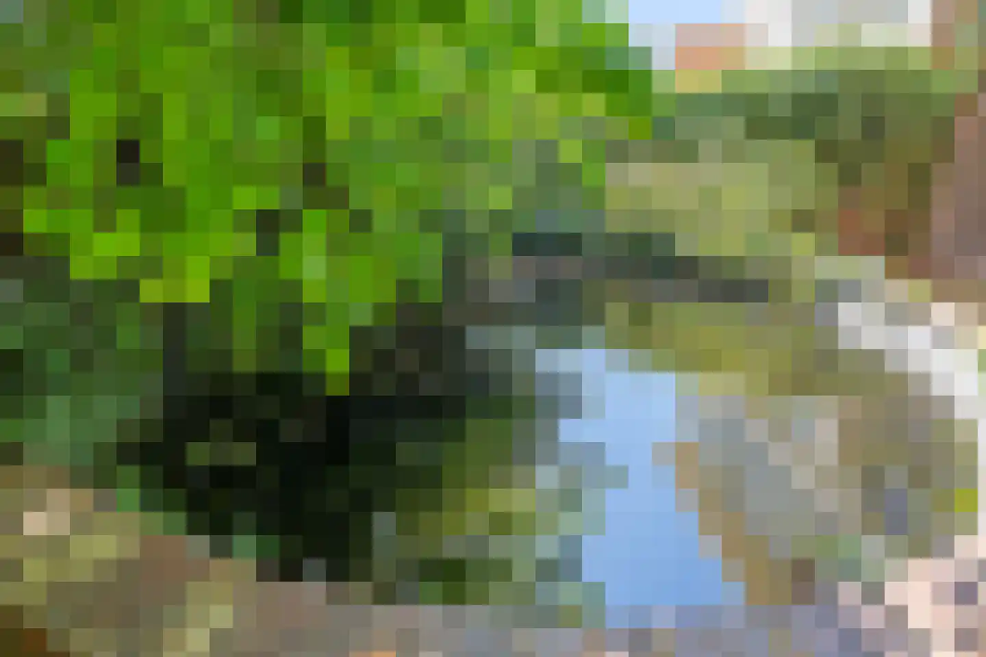 Winterjanpad 5 IJsselstein thumbnail 27