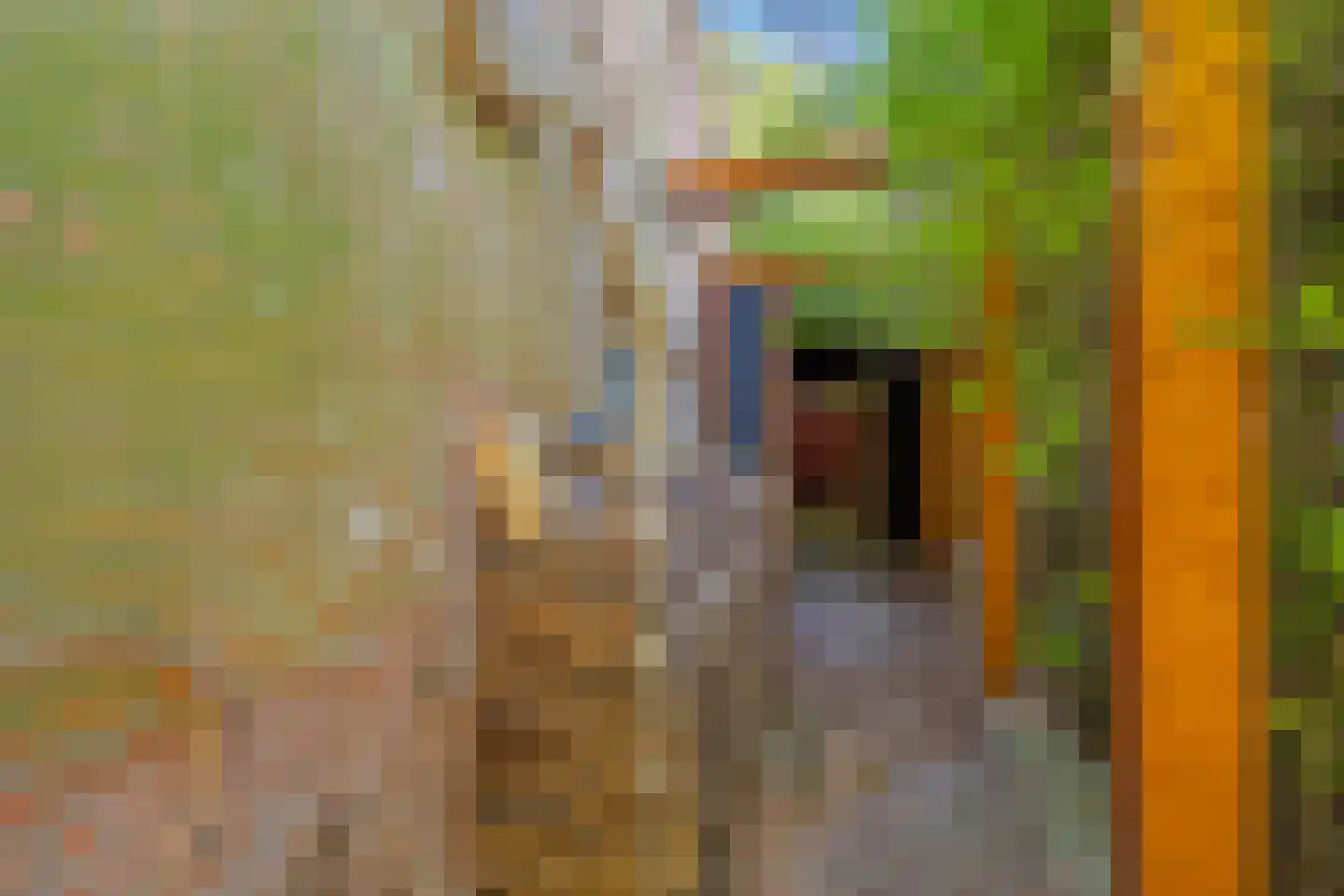 Winterjanpad 5 IJsselstein thumbnail 30