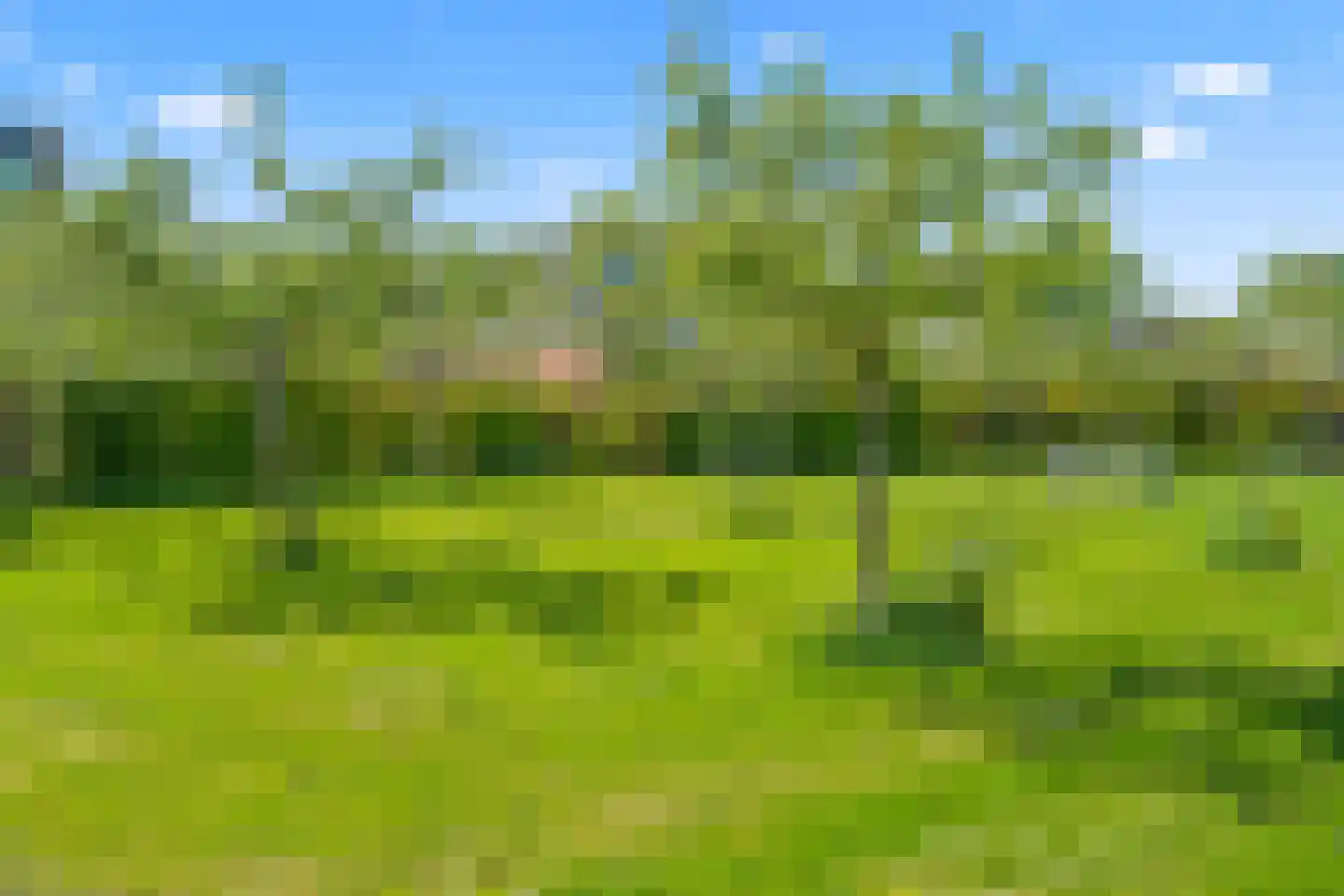 Winterjanpad 5 IJsselstein thumbnail 63