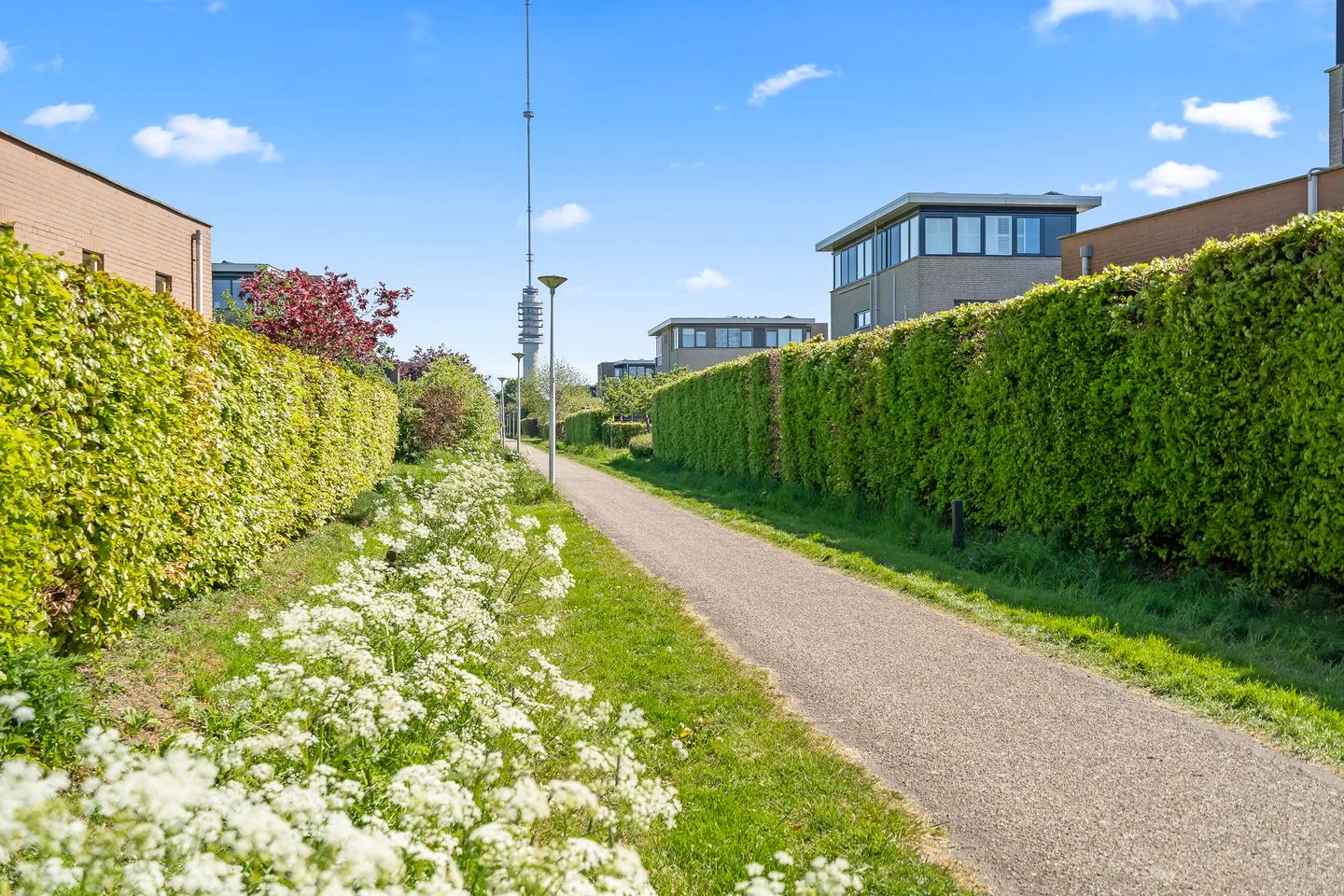Winterjanpad 5 IJsselstein thumbnail 64
