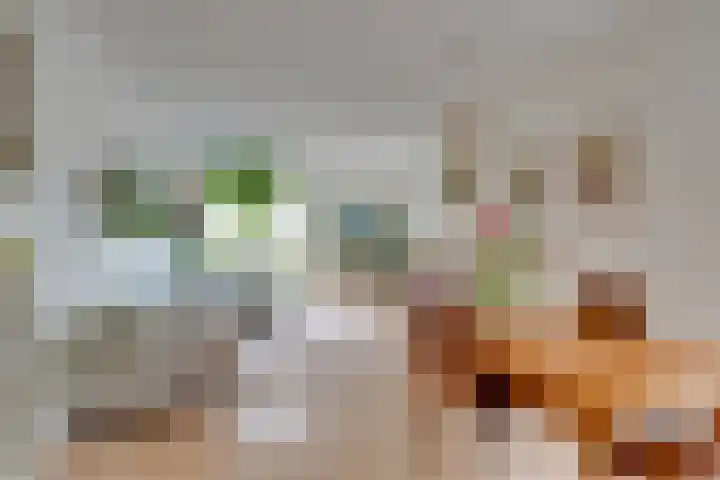 Winterjanpad 88 Amsterdam thumbnail 10