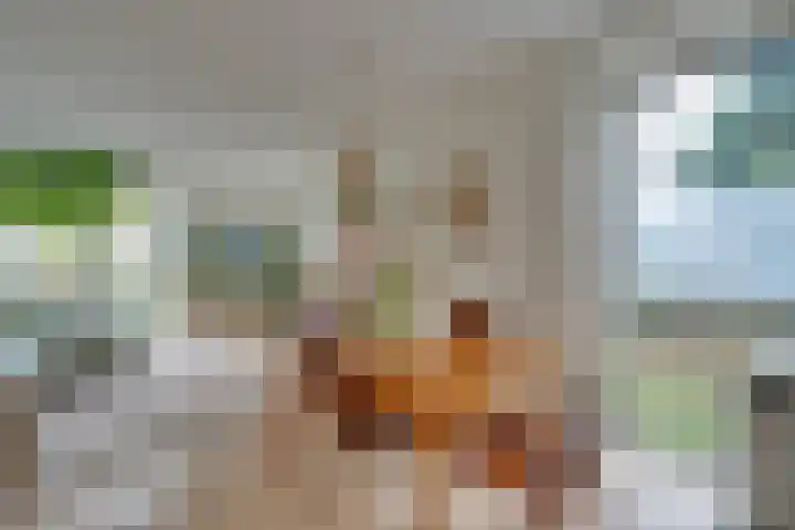 Winterjanpad 88 Amsterdam thumbnail 5