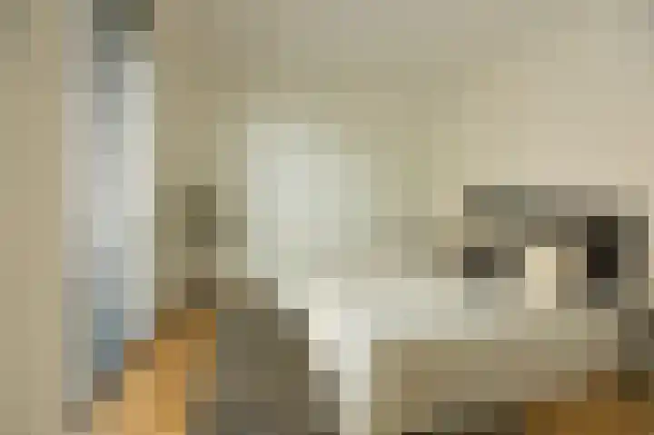 Winterjanpad 96 Amsterdam thumbnail 6