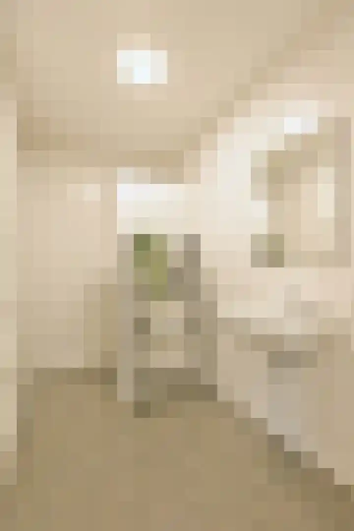 Winterjanpad 96 Amsterdam thumbnail 9